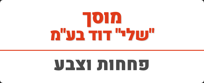 שלי דוד
